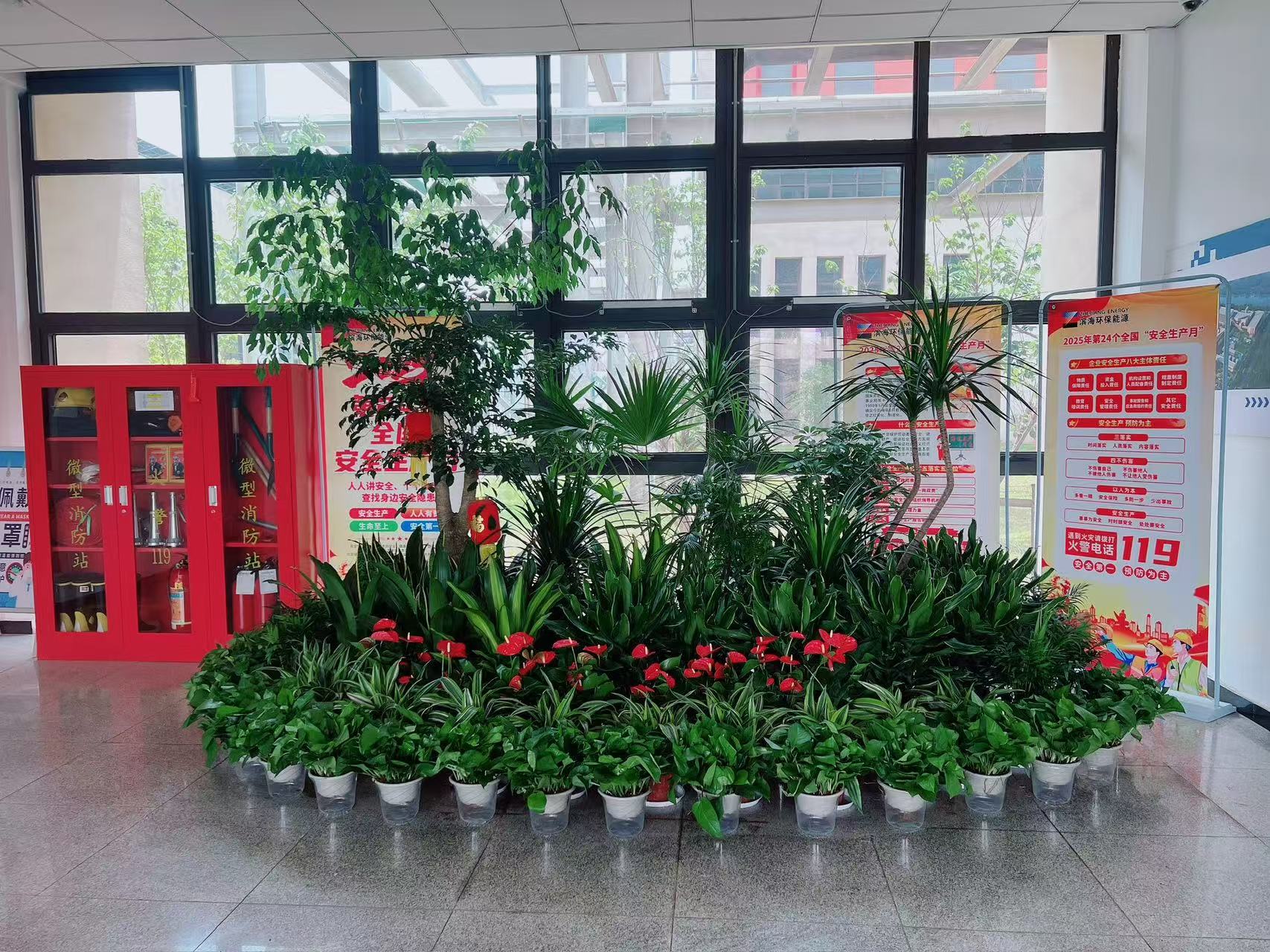 江北植物租摆设计